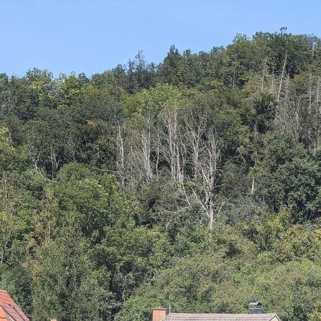 Ferienwohnung Mit Ausblick In Wimmelburg Bagian luar foto