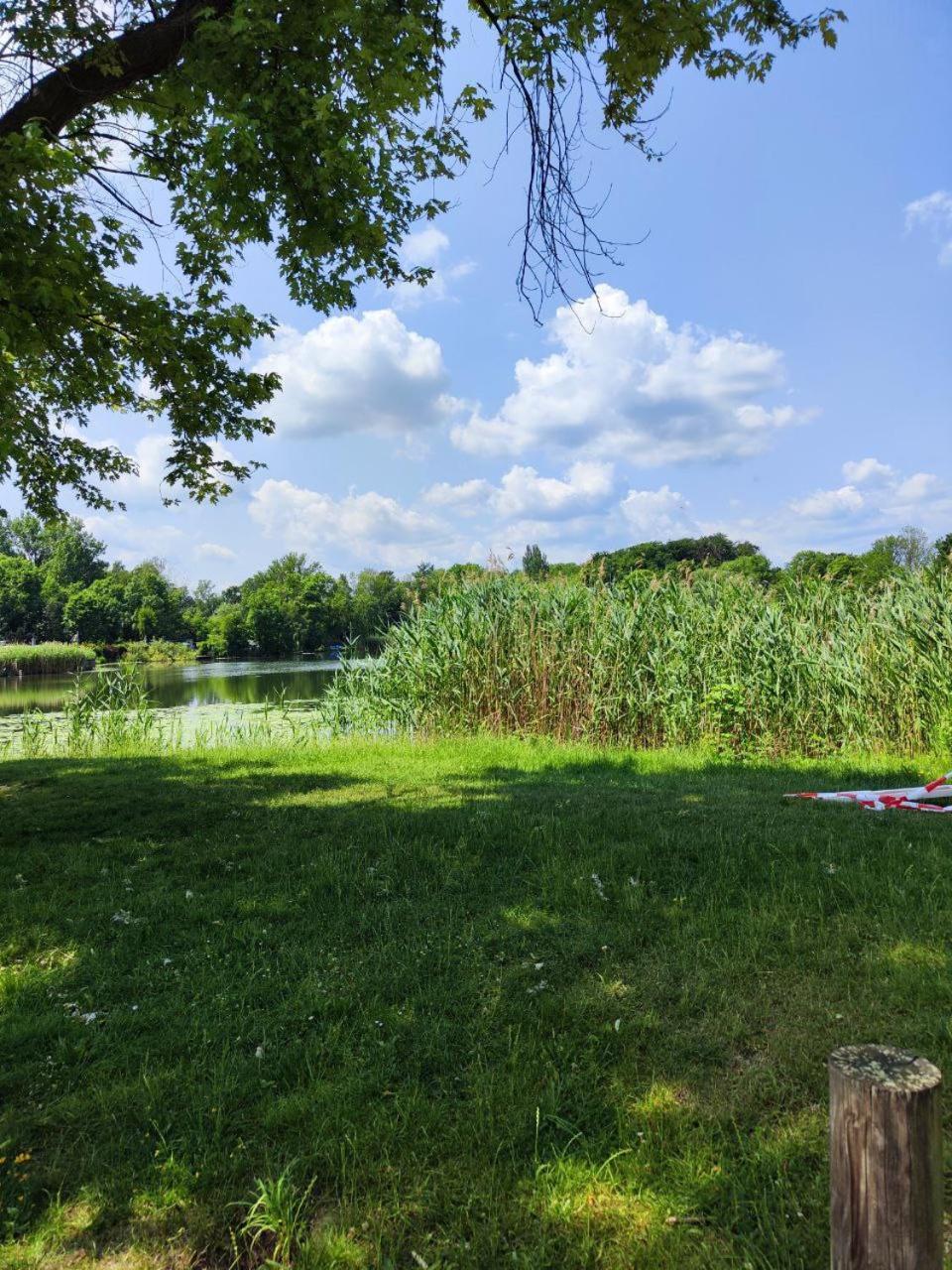 Ferienwohnung Mit Ausblick In Wimmelburg Bagian luar foto