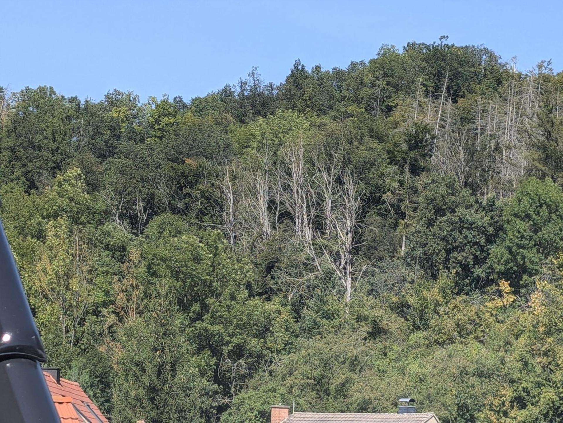 Ferienwohnung Mit Ausblick In Wimmelburg Bagian luar foto
